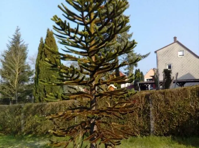 Tla With Garden * Kaiserslautern